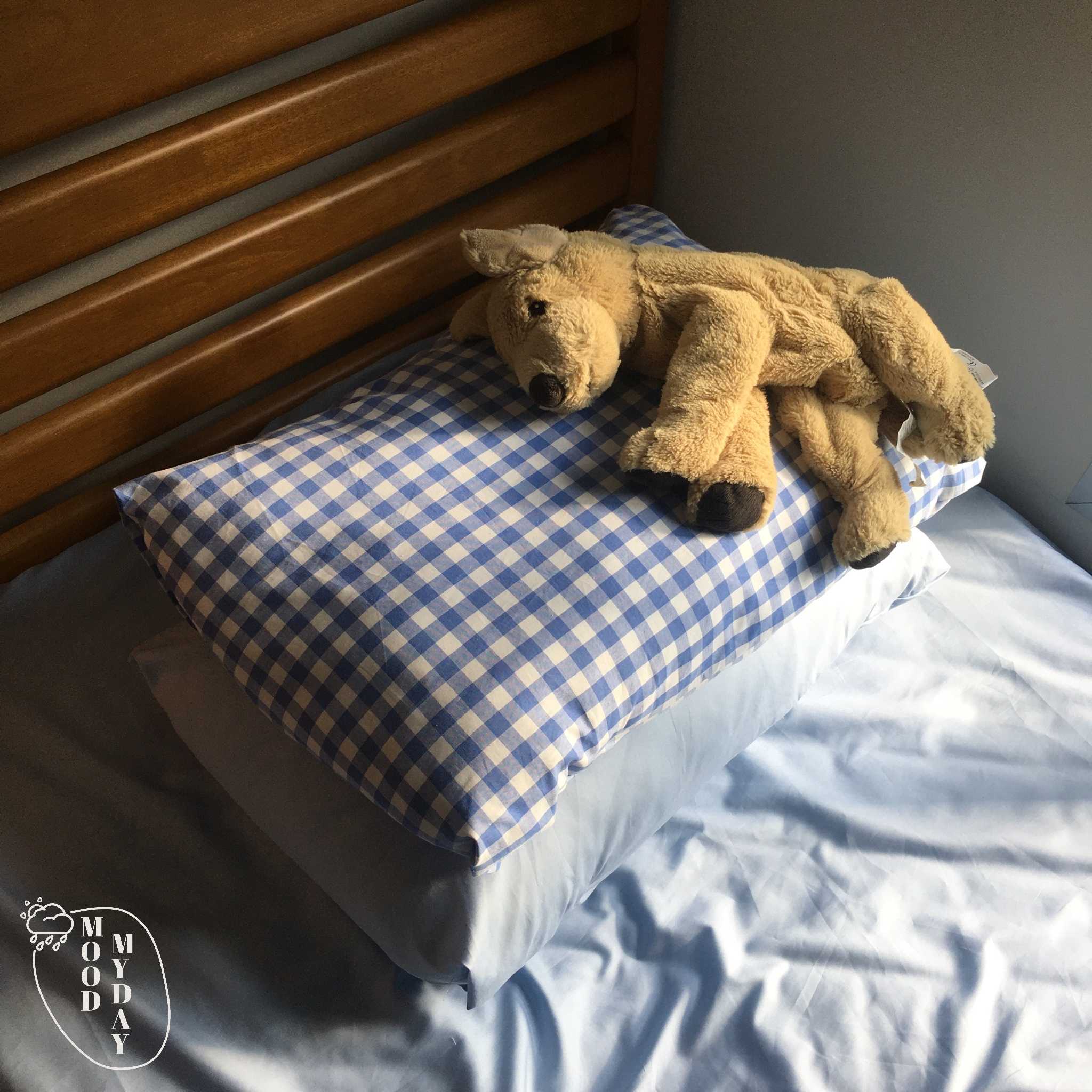 (Preorder) 🧵 ปลอกหมอนสั่งตัด ปลอกหมอนข้าง custom-made moodmyday