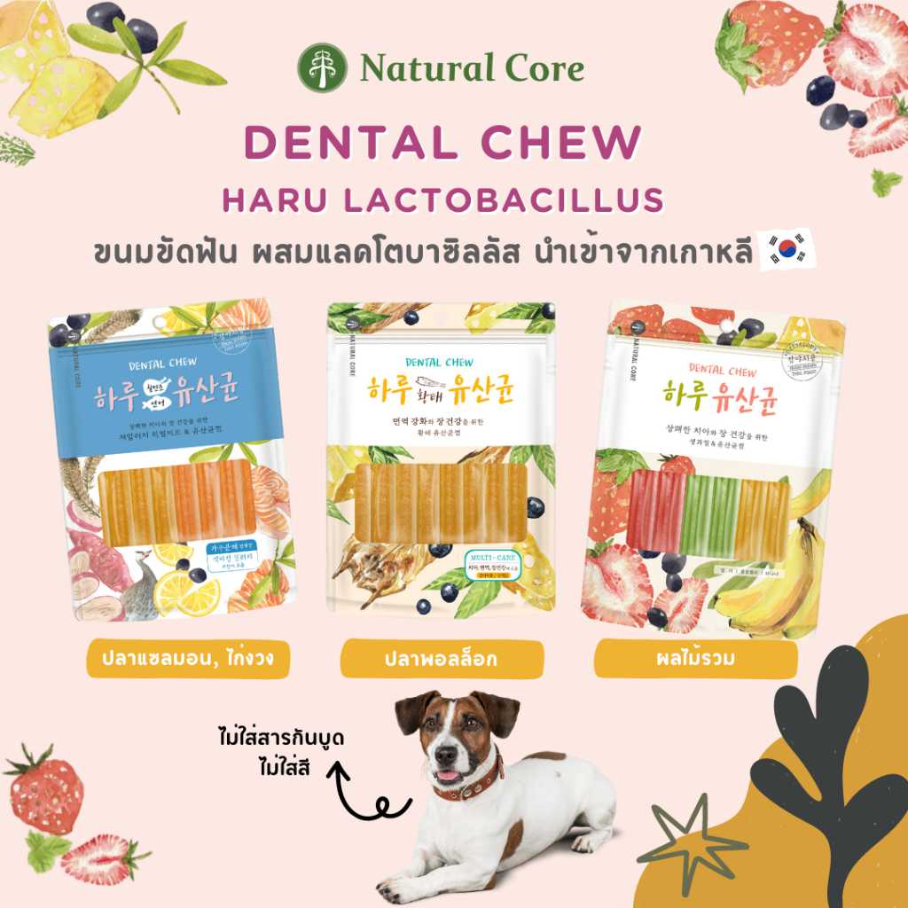 Natural Core Haru Lactobacillus ขนมขัดฟันสำหรับสุนัข 🐶 นำเข้าจากเกาหลี🇰🇷