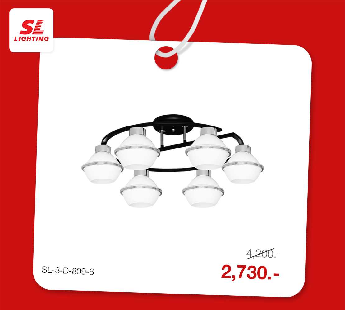 สินค้าร่วมโปรโมชั่น | SL-3-D-809-6