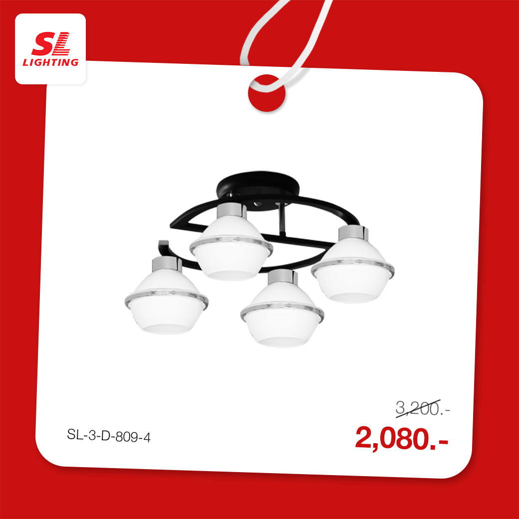 สินค้าร่วมโปรโมชั่น | SL-3-D-809-4