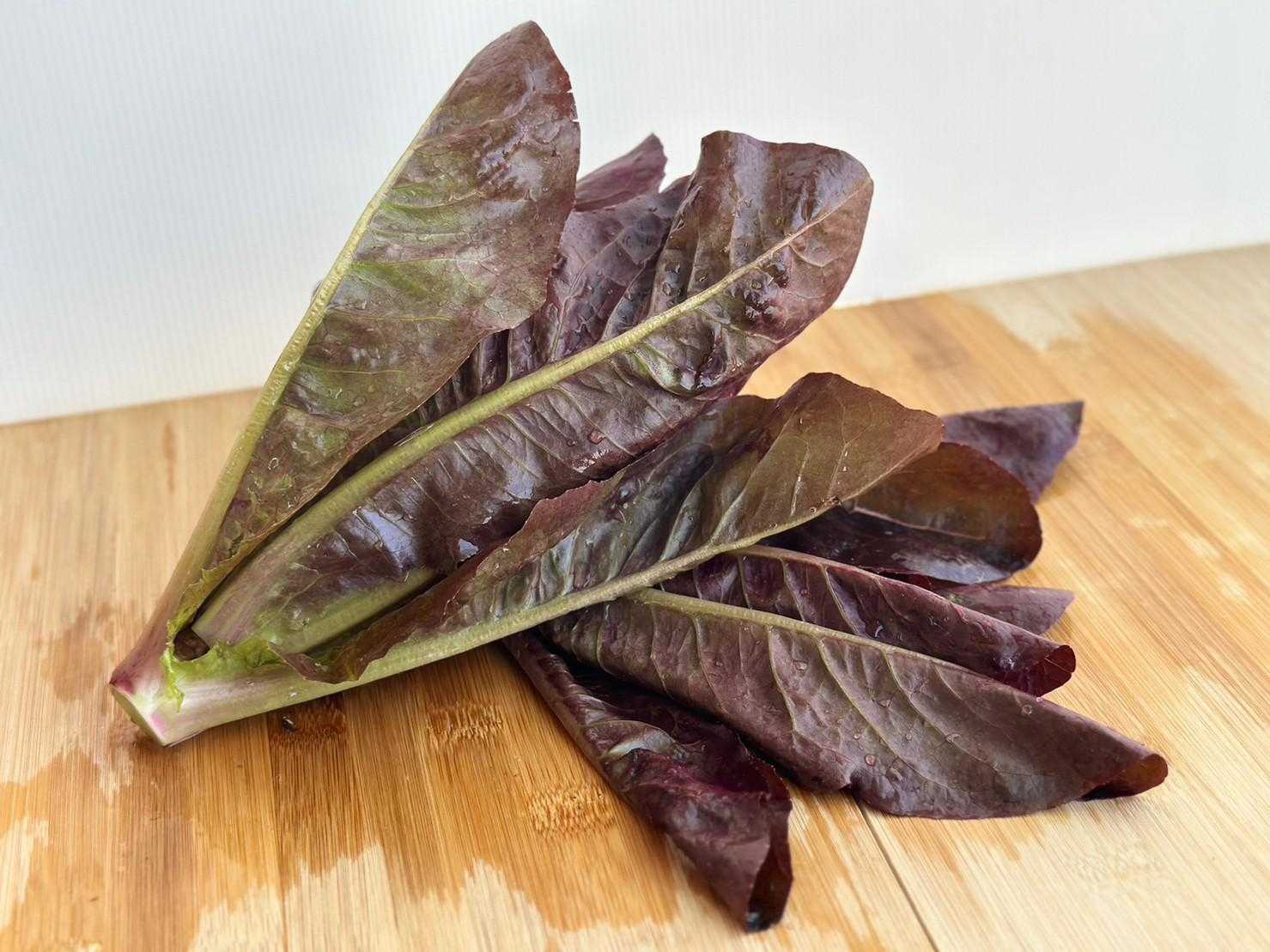 คอสแดงออร์แกนิค 150ก. / レッド コスレタス (Organic Red Cos Lettuce) 150g.