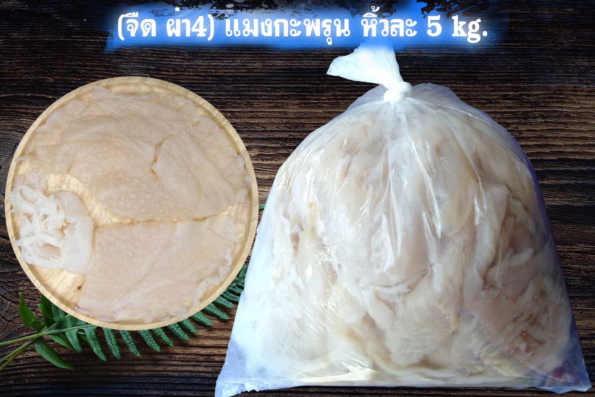 (จืด ไม่ผูกเชือก ผ่า4) แมงกะพรุน 4-5 kg/หิ้ว