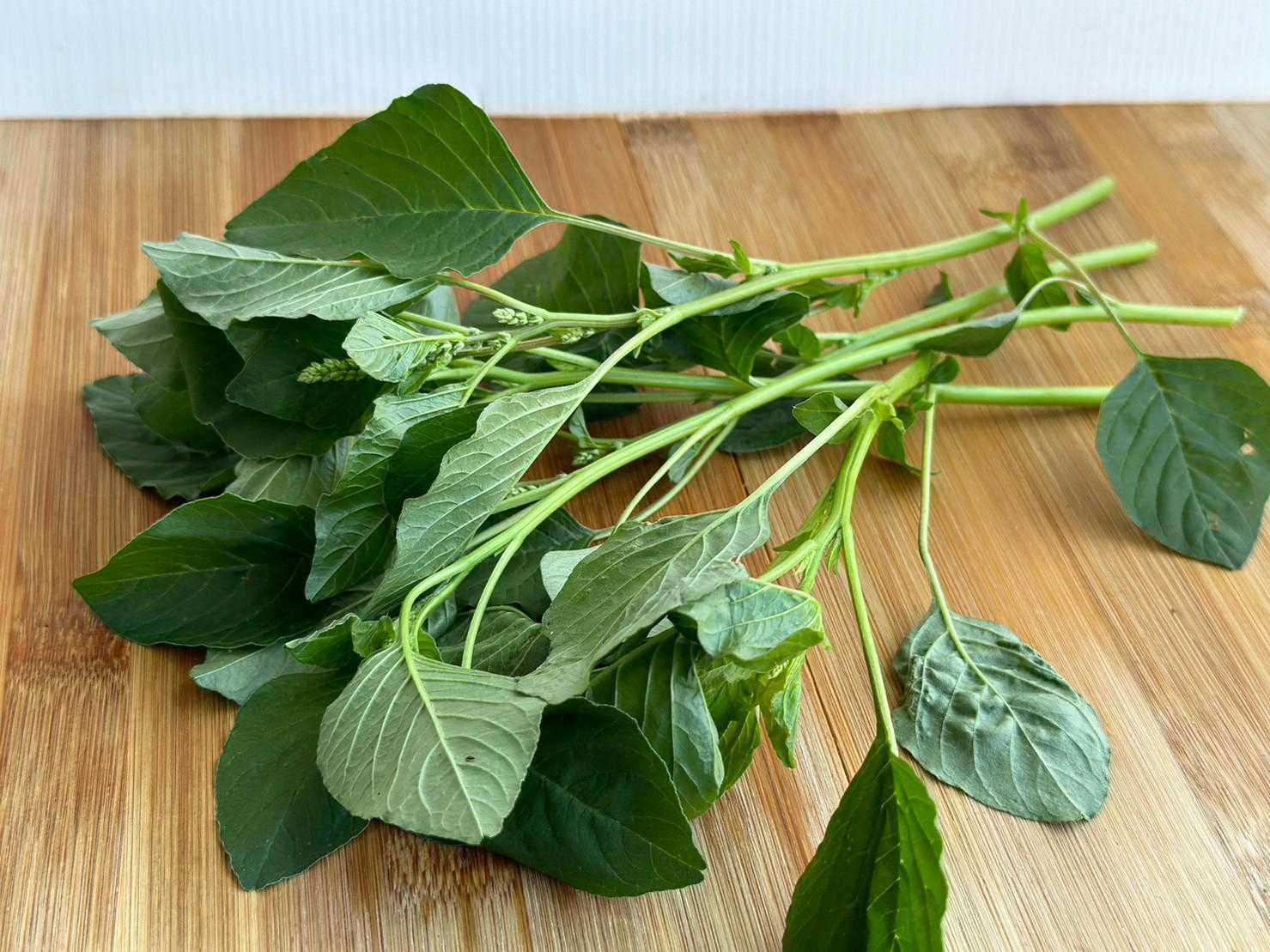 ผักโขมออร์แกนิค 150ก. / タイほうれん草 (Organic Thai Spinach) 150g.