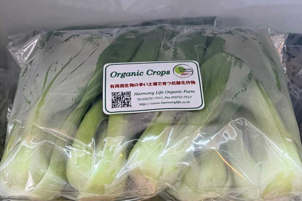 กวางตุ้งฮ่องเต้ (ตามฤดูกาล) 200ก. / ちんげん菜 Bok Choy (Seasonal) 200g.