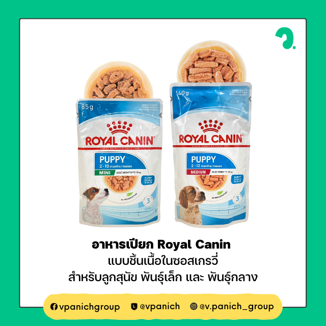 อาหารเปียก ลูกสุนัข Royal Canin สูตรเกรวี่ ( Gravy ) สำหรับ พันธุ์เล็ก / พันธุ์กลาง