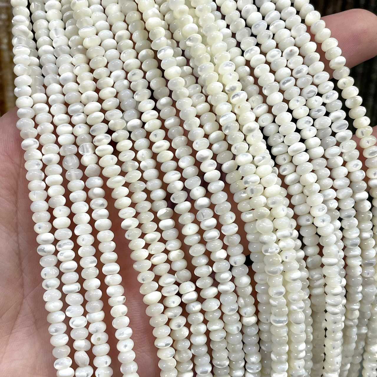 เปลือกหอยขาว (Sea shell) ขนาด 2x4 mm ทรงล้อรถ เส้นยาว