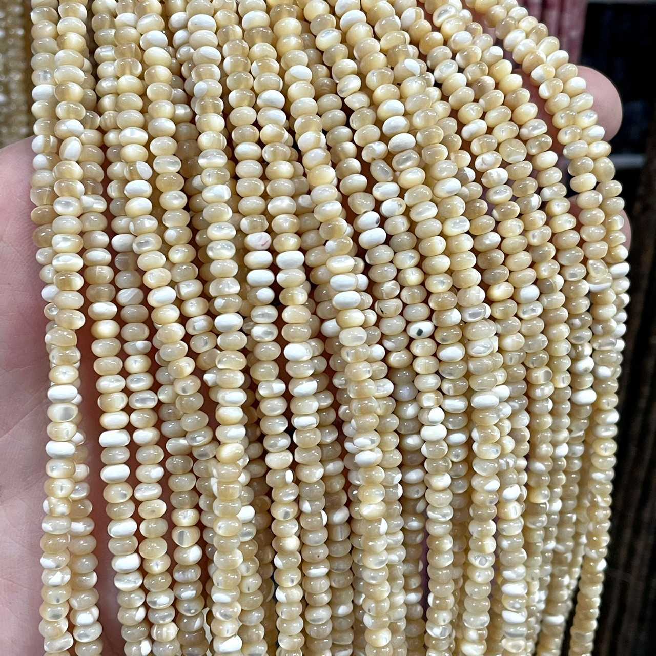 เปลือกหอยครีม (Sea shell) ขนาด 2x4 mm ทรงล้อรถ เส้นยาว