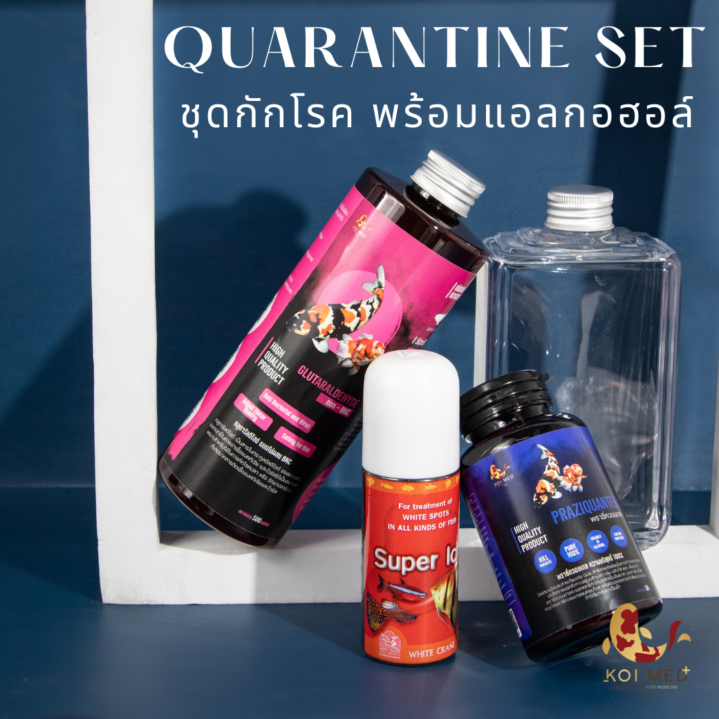 ชุดกักโรค + แอลกอฮอล์ 95% สำหรับละลายพราซี่