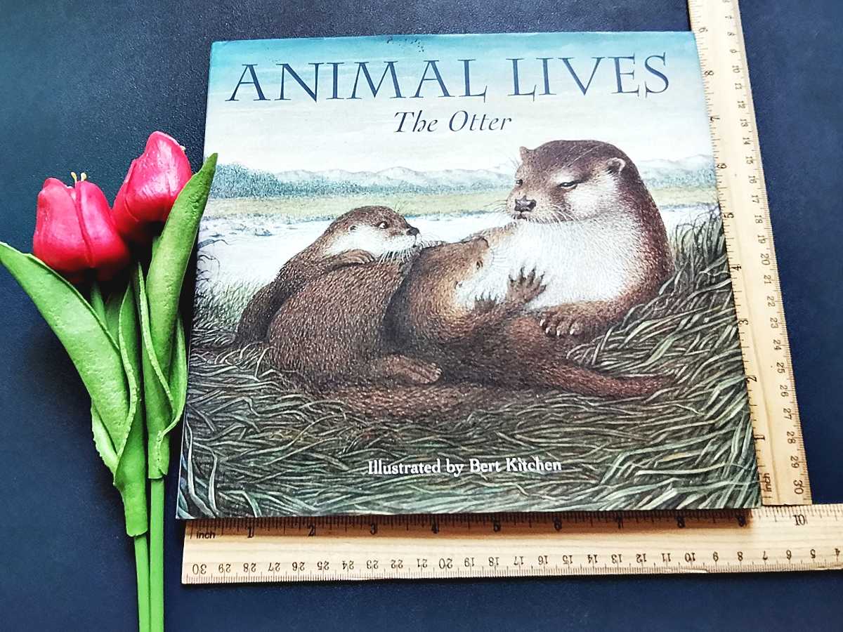 หนังสือความรู้║Animal Lives: The Otter║★มือสอง ★ปกแข็ง