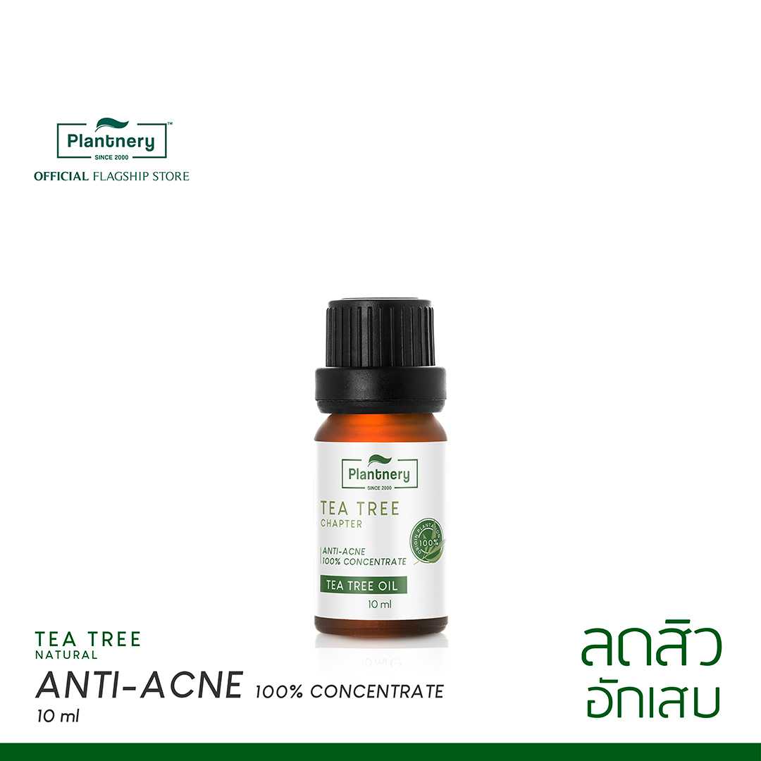 Plantnery Tea Tree Oil Acne Spot 10 ml น้ำมันทีทรีเพียว100% แต้มสิวยุบข้ามคืน สิวอักเสบ สิวหัวหนอง