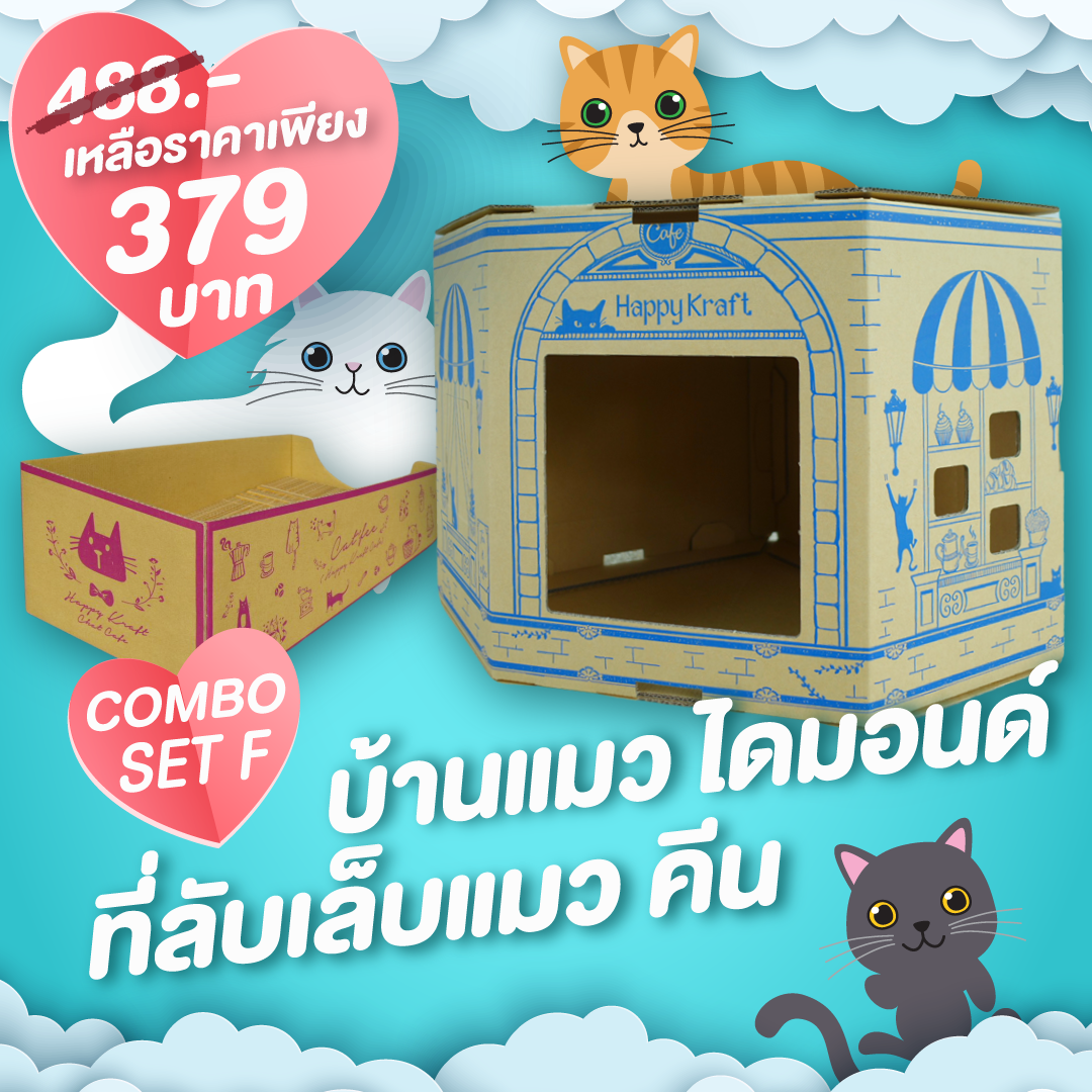 บ้านแมว The Diamond Cat House & Keen Cat Scratcher (ที่ลับเล็บแมวเก็บฝุ่น DIY รักษ์โลก)