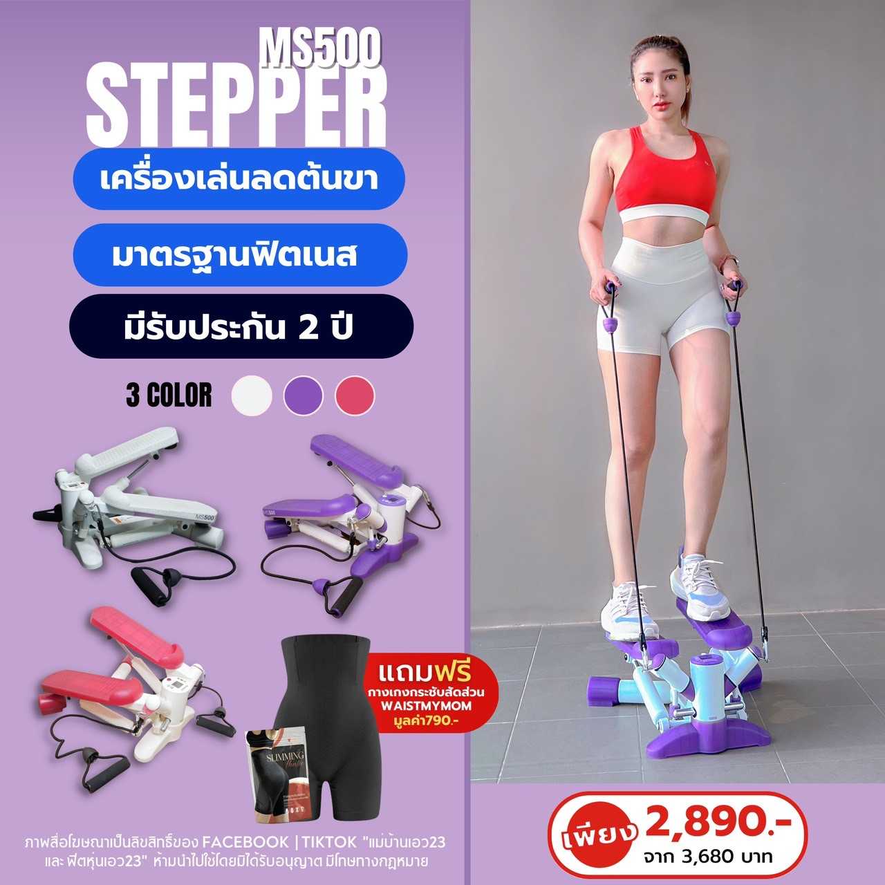 Stepperms500