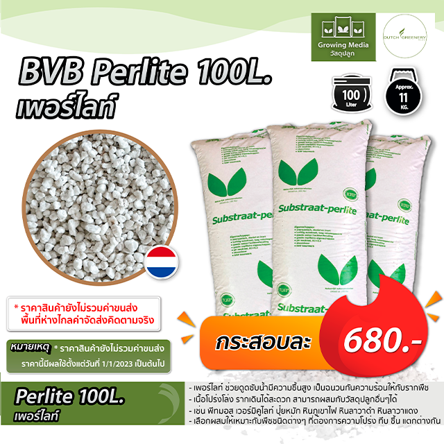BVB Perlite 100L.