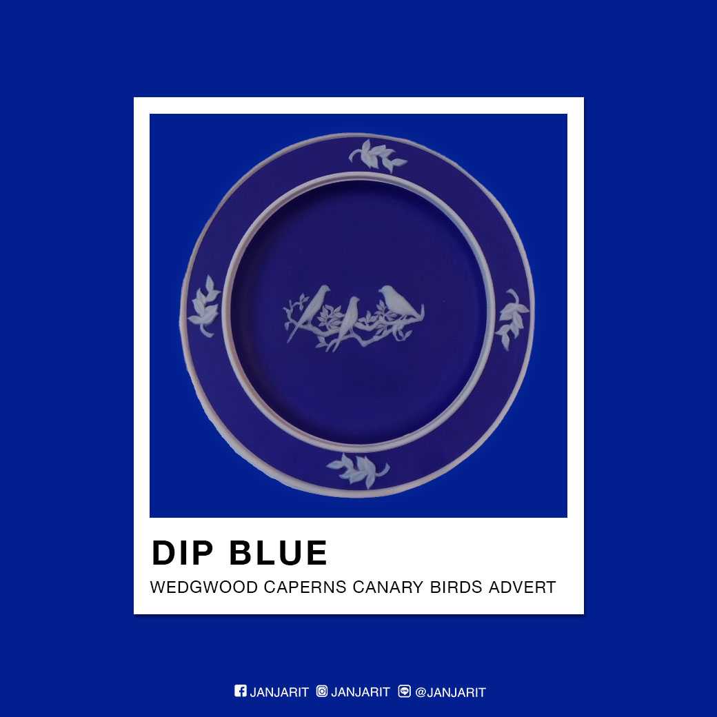 จานสะสม Wedgwood Caperns Canary Birds Plate