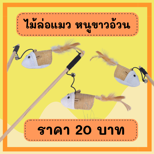 ไม้ล่อแมว (หนูขาวอ้วน)