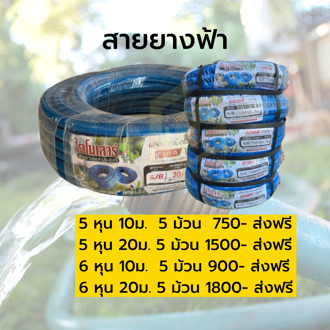 สายยางฟ้า