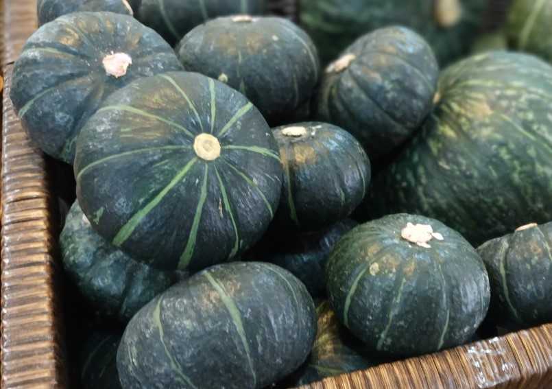 มินิฟักทองญี่ปุ่นออร์แกนิค / 日本かぼちゃ (Organic Mini Japanese Pumpkin)