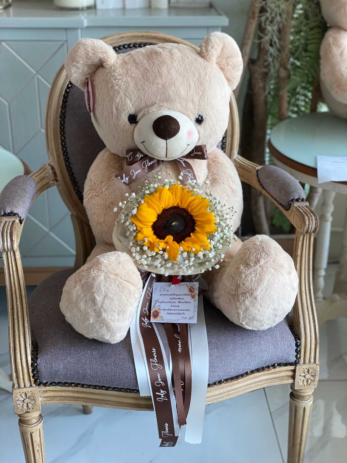 teddy 70