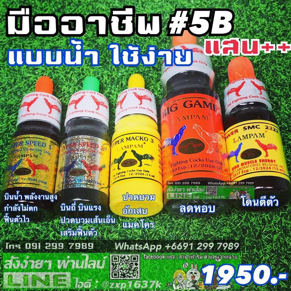 ชุดมืออาชีพ 5B