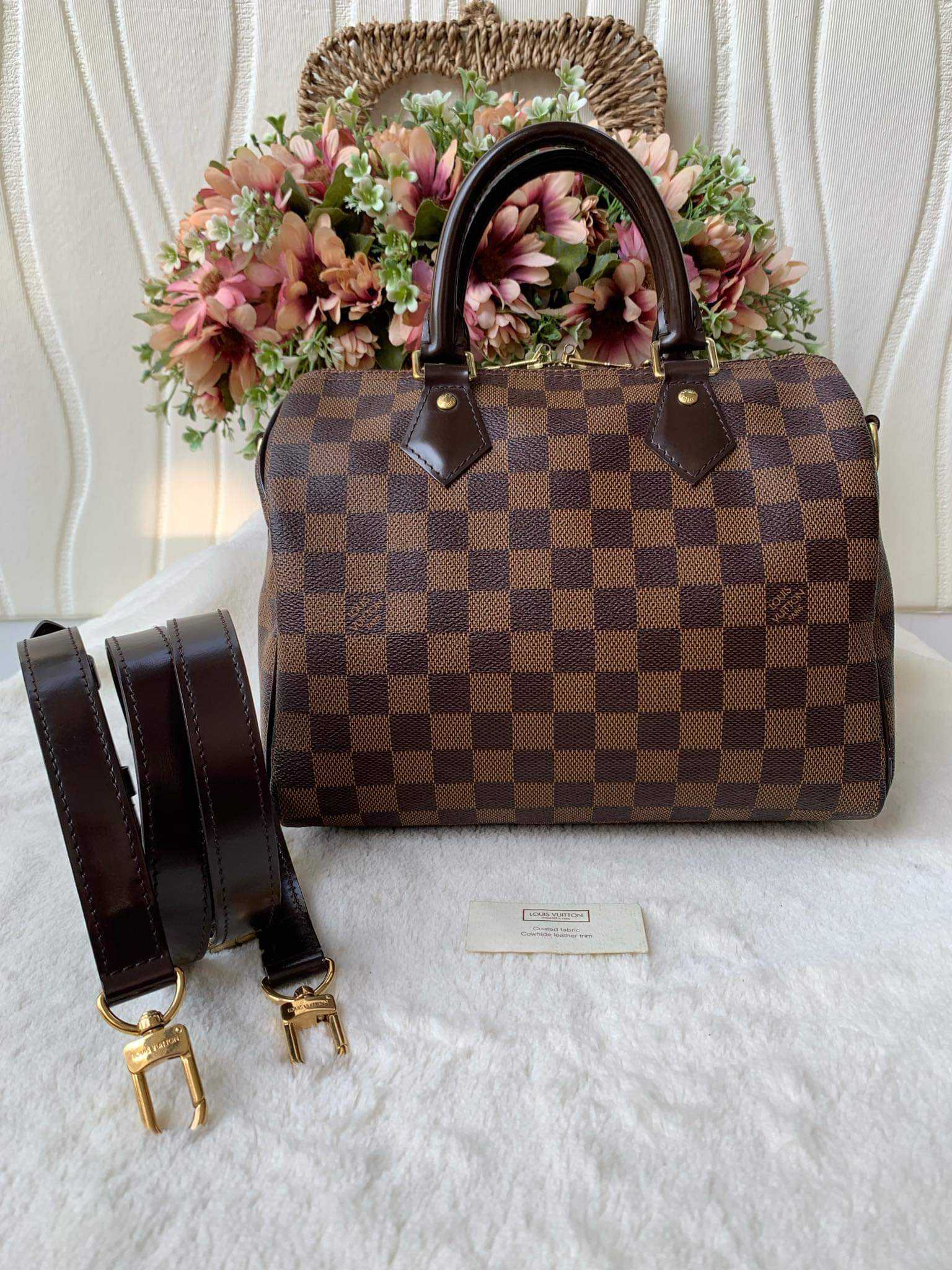 กระเป๋า lv speedy 25 damier