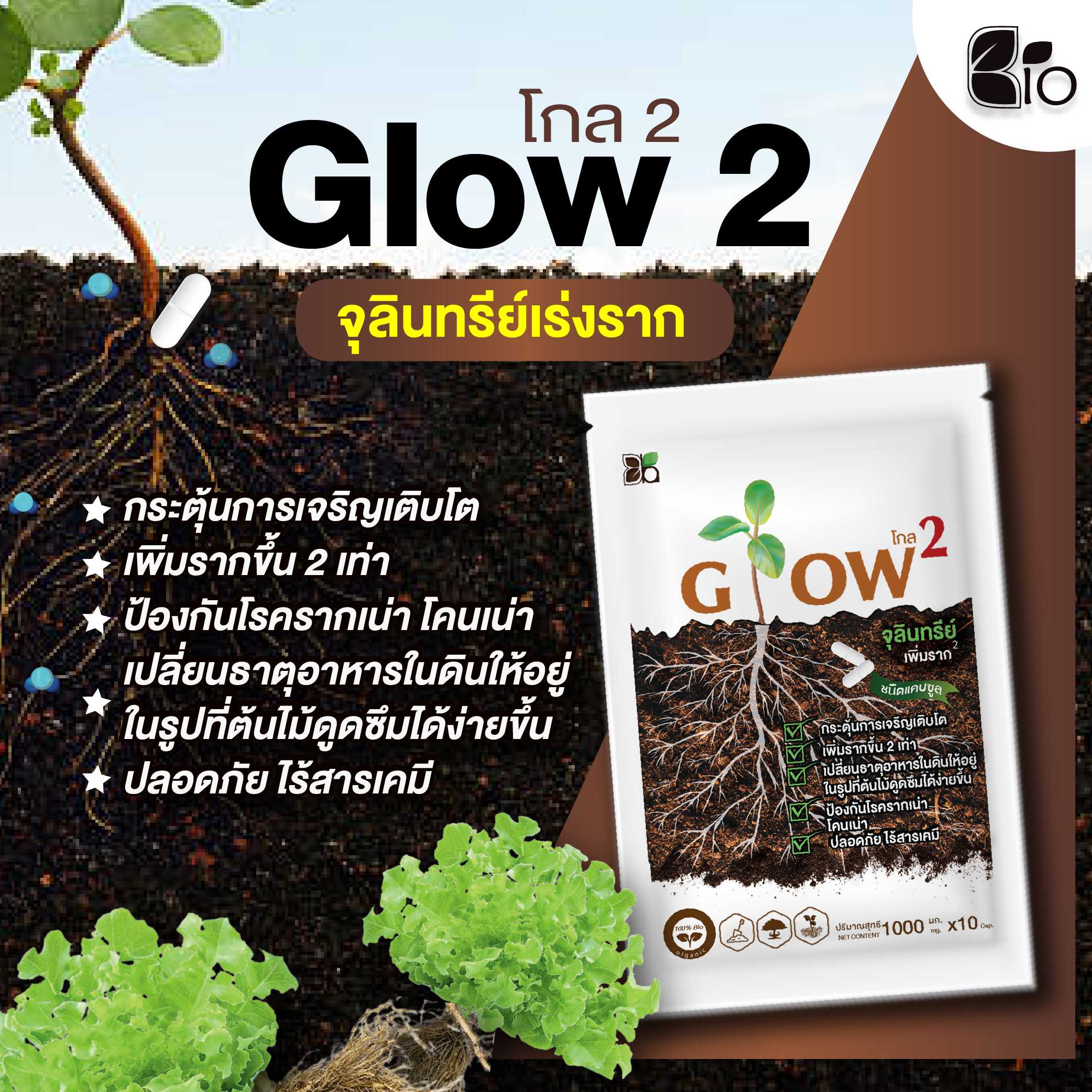 🔥ซื้อ3 แถม1🔥 Glow2 จุลินทรีย์เพิ่มราก กระตุ้นการเจริญเติบโต