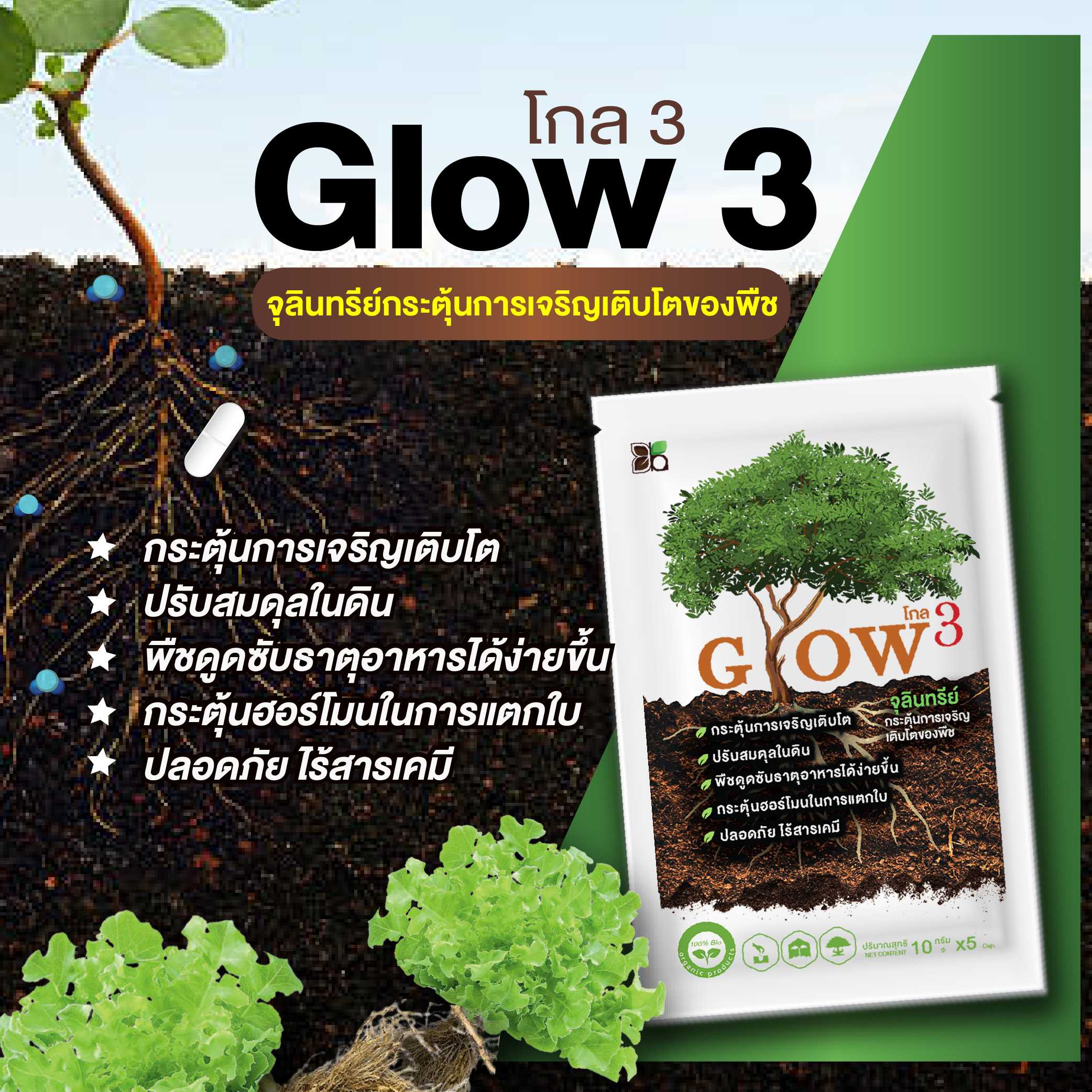 🔥ซื้อ3 แถม1🔥 Glow3 จุลินทรีย์เจริญเติบโตของพืช ป้องกันโรคพืช เพิ่มผลผลิต ปรับสมดุลในดิน