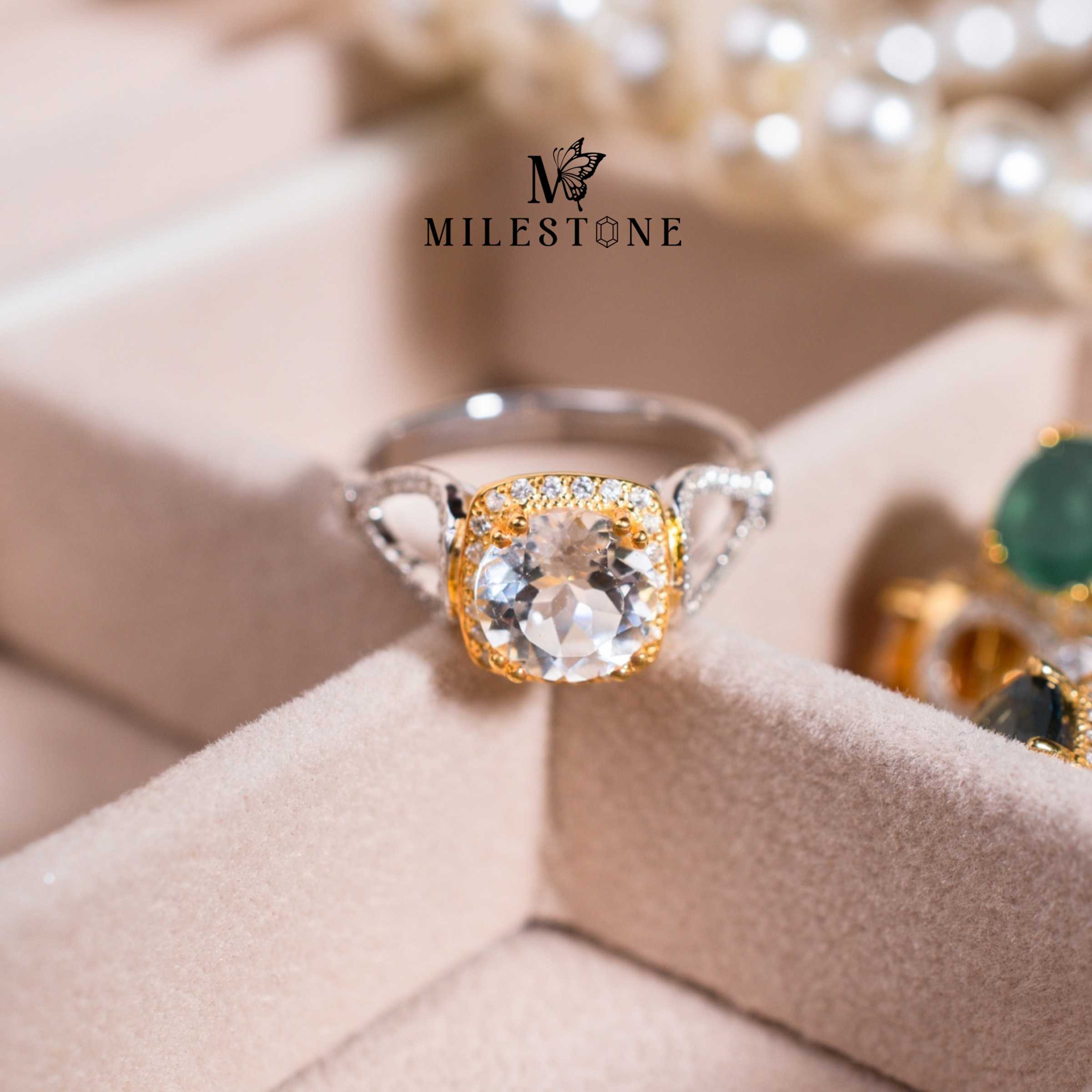 Milestone Princess Collection 