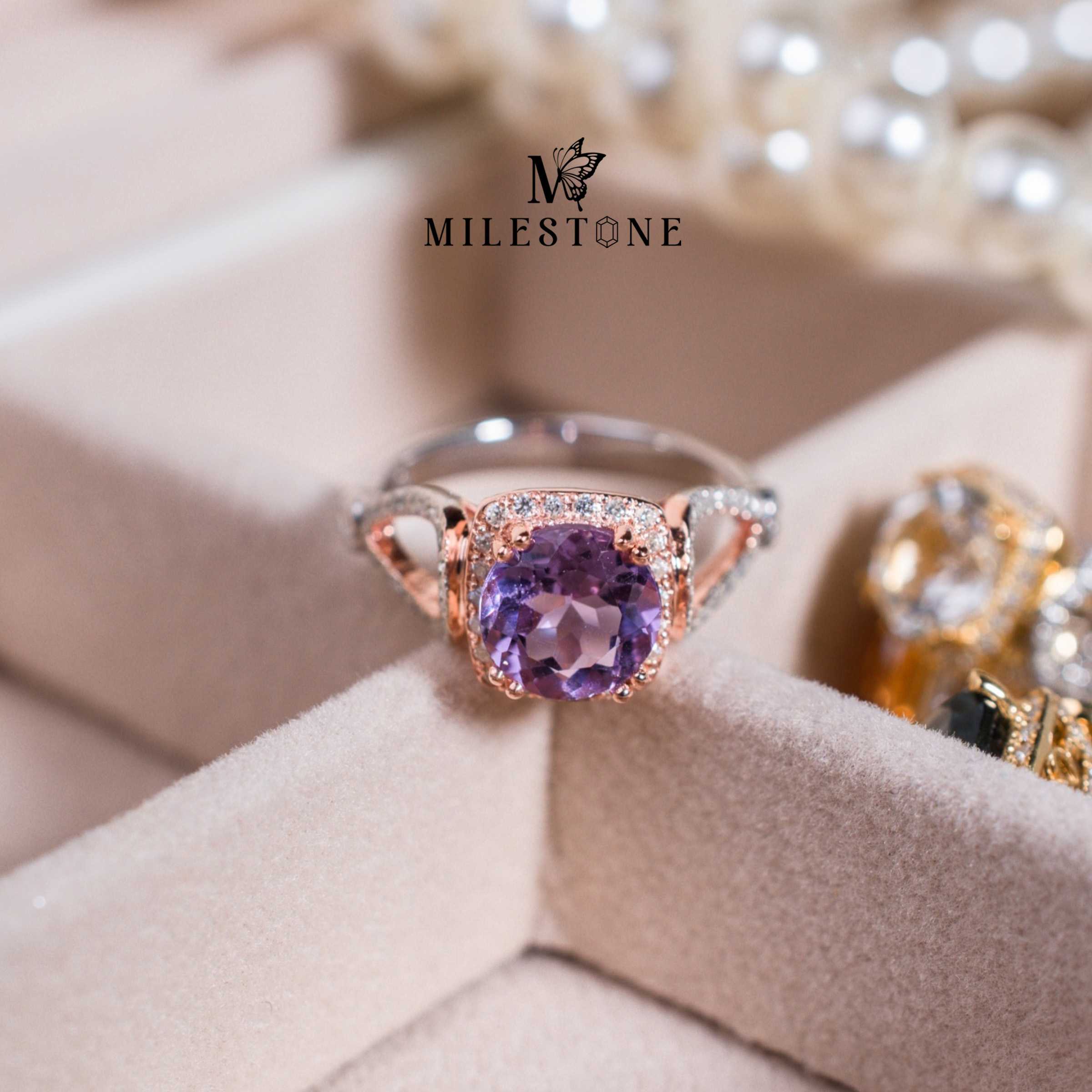 Milestone Princess Collection 