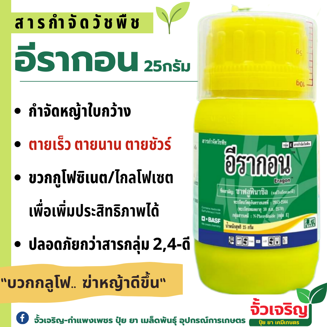 อีรากอน 25ก. ฆ่าใบกว้าง ผักเบี้ยหิน ผักโขม ทรีวิกซ์ (ซาฟลูฟีนาซิล 70%) ยุบไว แห้งเร็ว ปลอดภัย
