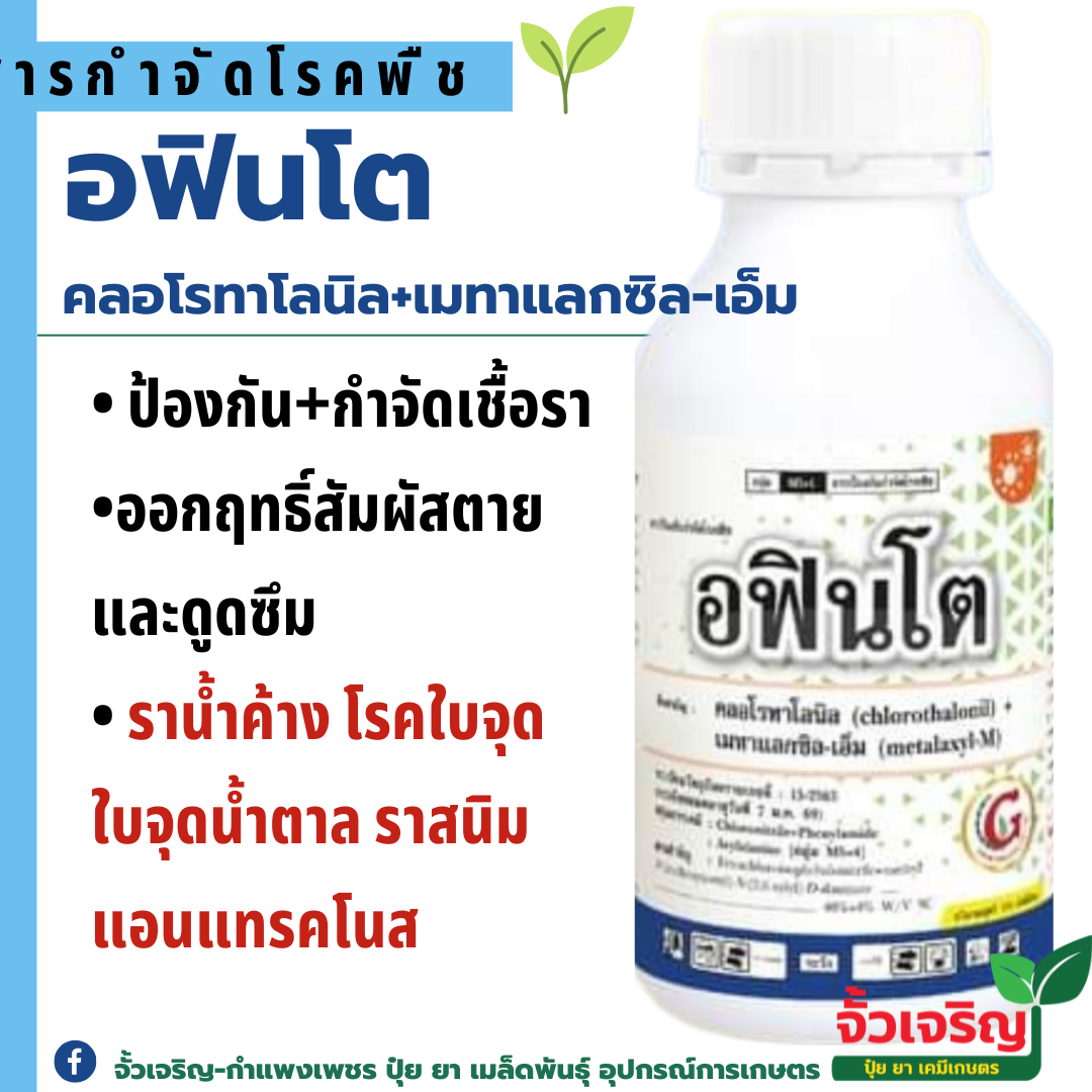 อฟินโต (500cc) ใช้ป้องกันและกำจัดเชื้อรา เช่นโรคไฟทอปเทอร่า โรคราน้ำค้าง โรคราสนิม