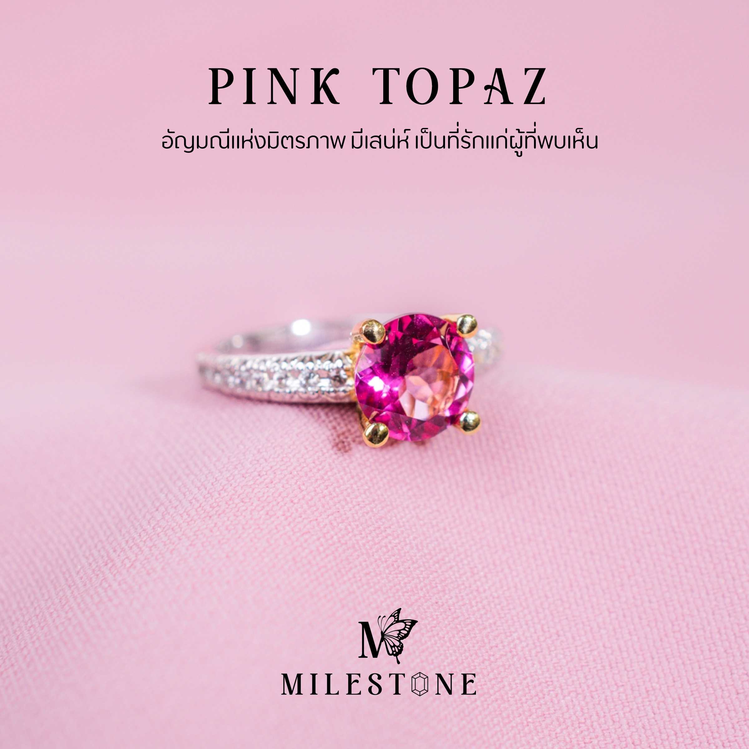 Milestone Princess Collection 