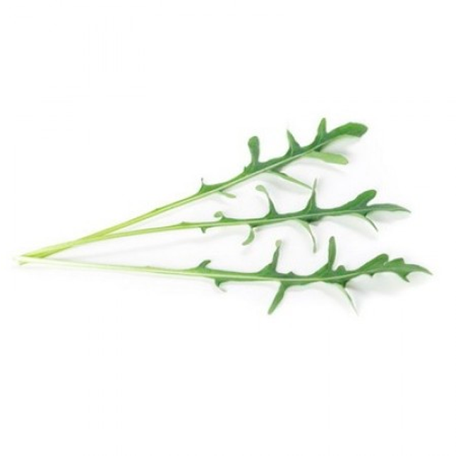 An Image