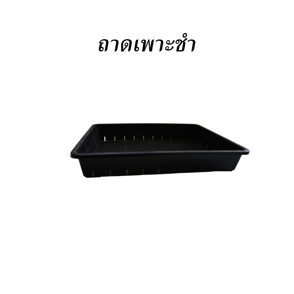ถาดเพาะชำ