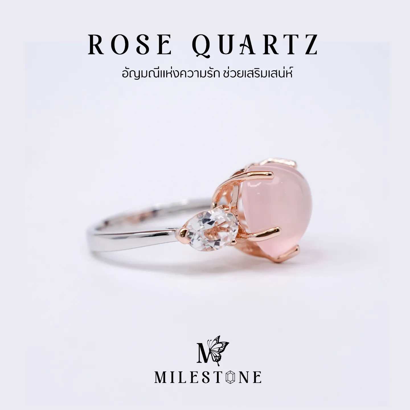Milestone Princess Collection 