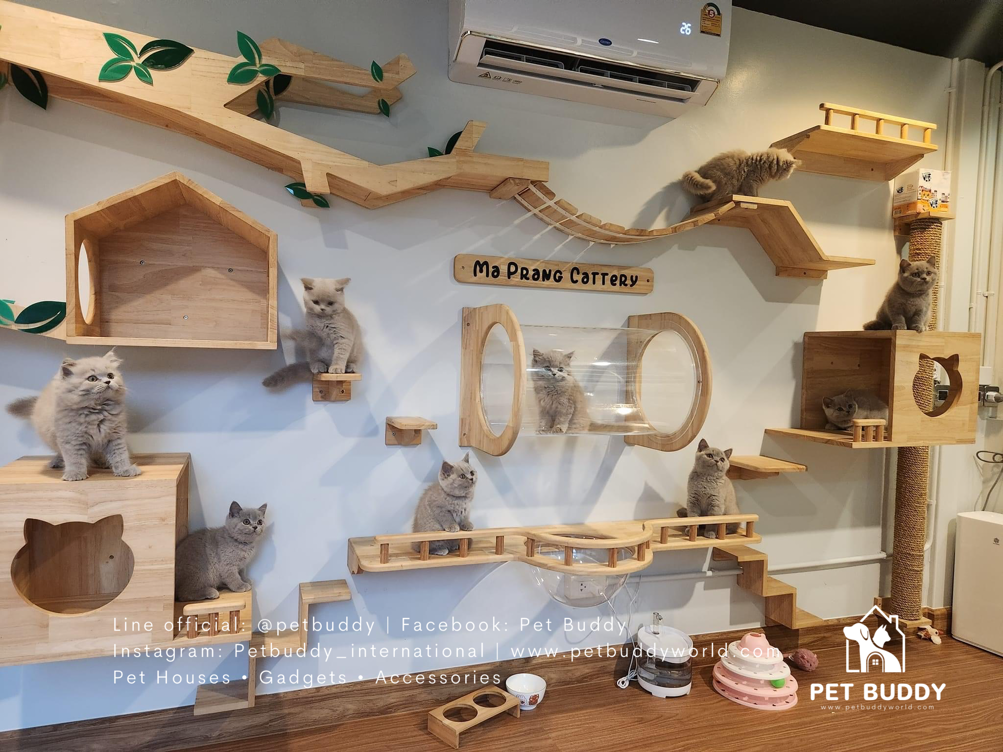 Catshelves_09 ชั้นแมวติดผนัง (แบบชุด)