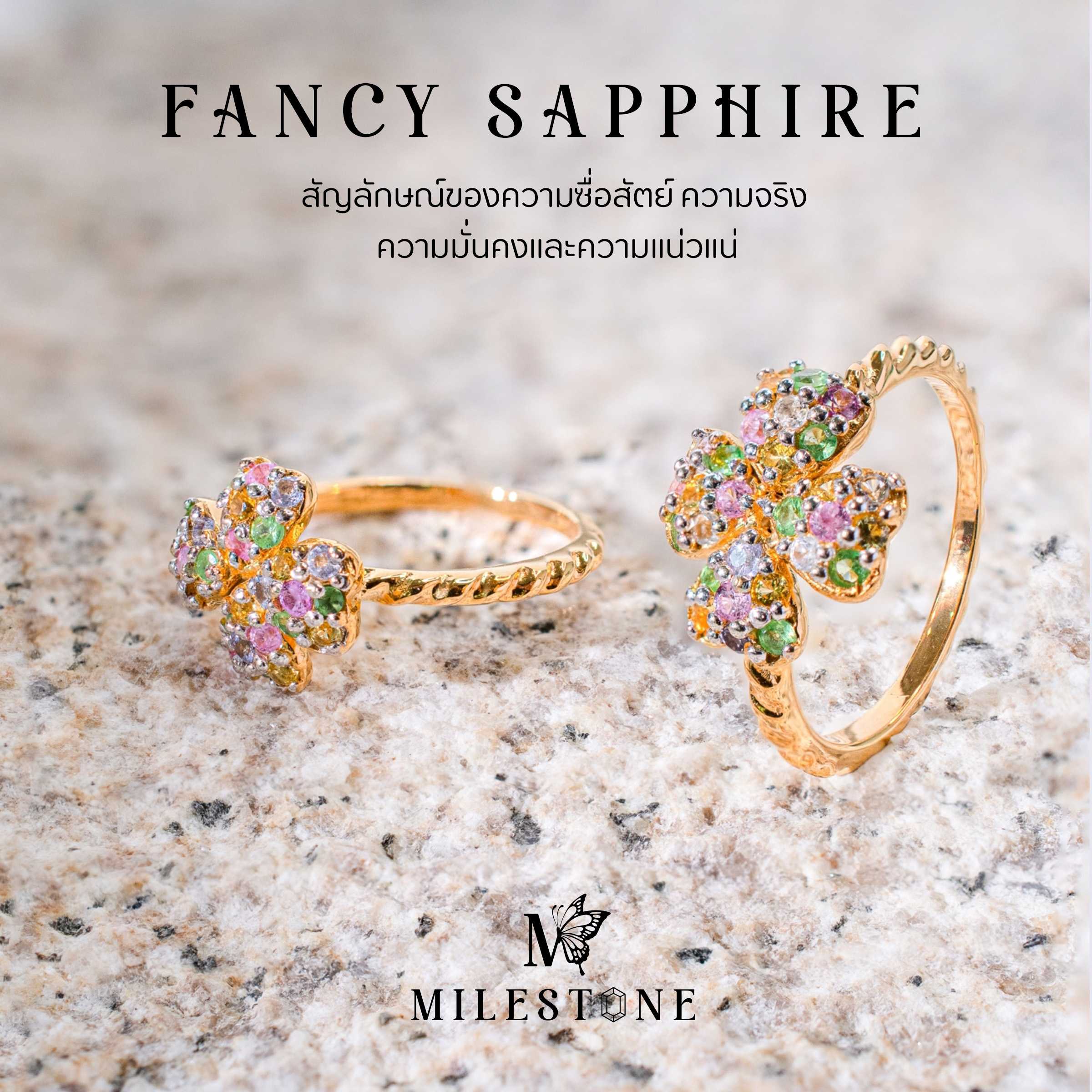Milestone Fancy Collection 