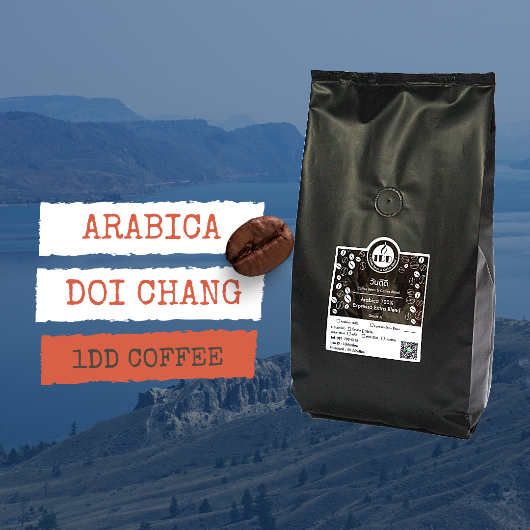 ☕️1DD Coffee เมล็ดกาแฟคั่ว อาราบิก้า ดอยช้างแท้ 100% กาแฟหอม เมล็ดคัด ☕️