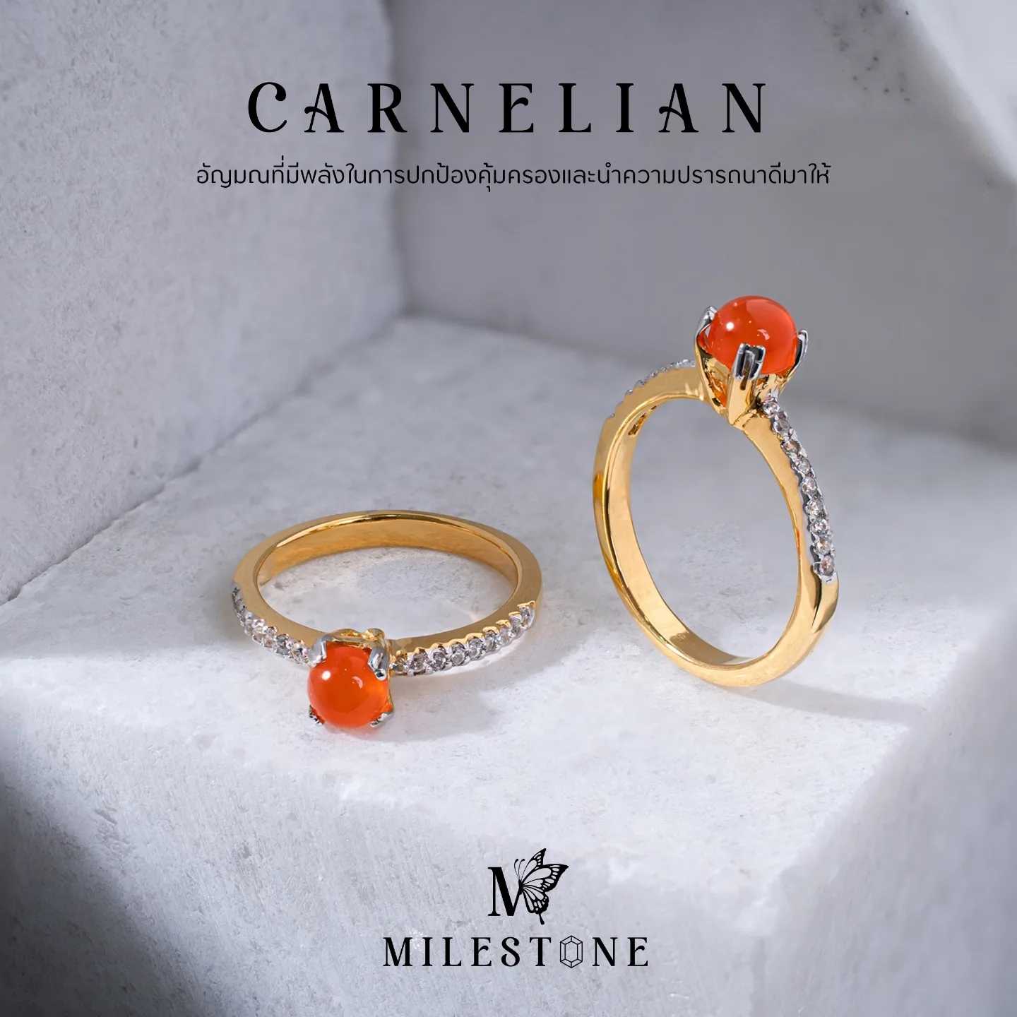 Milestone Princess Collection 