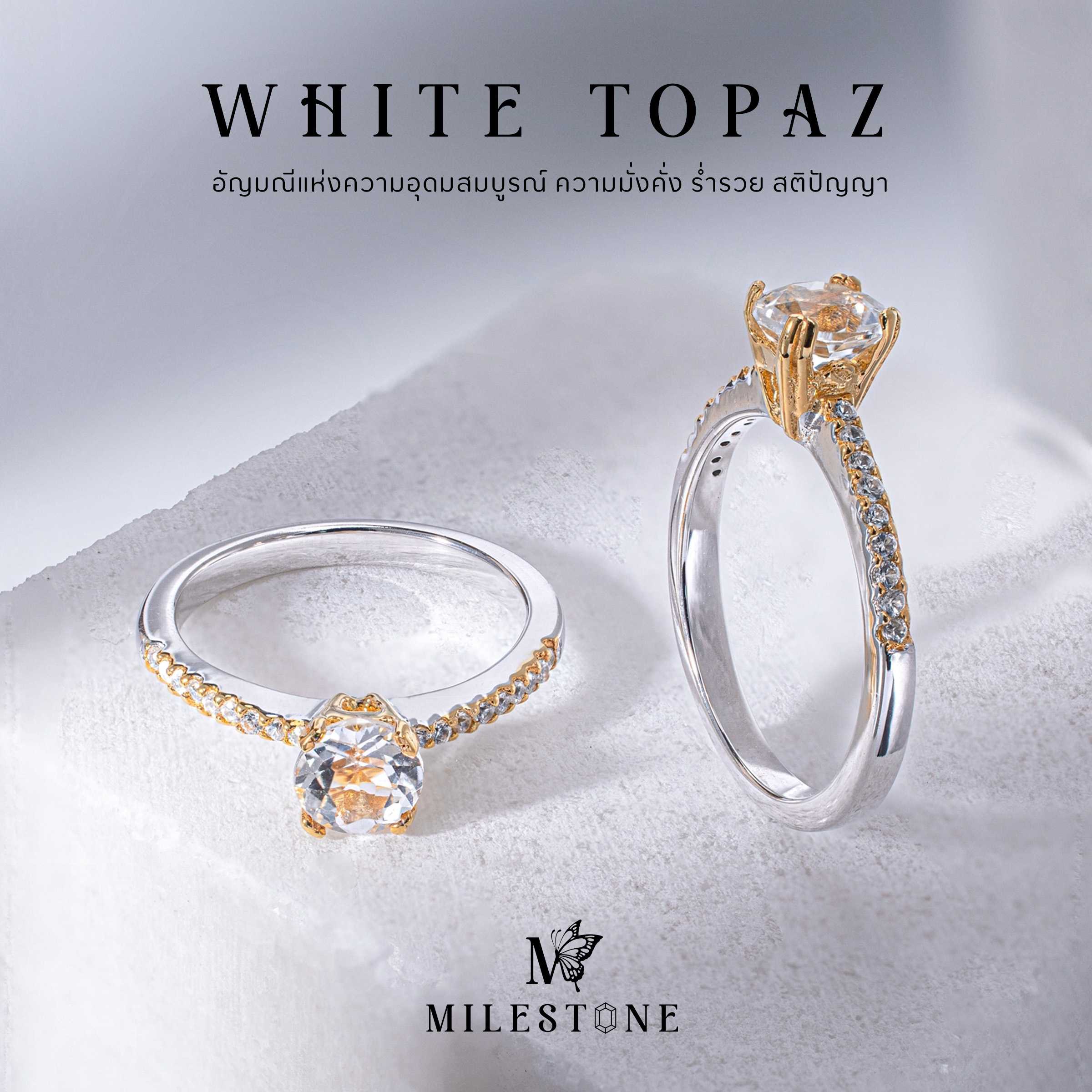 Milestone Princess Collection 