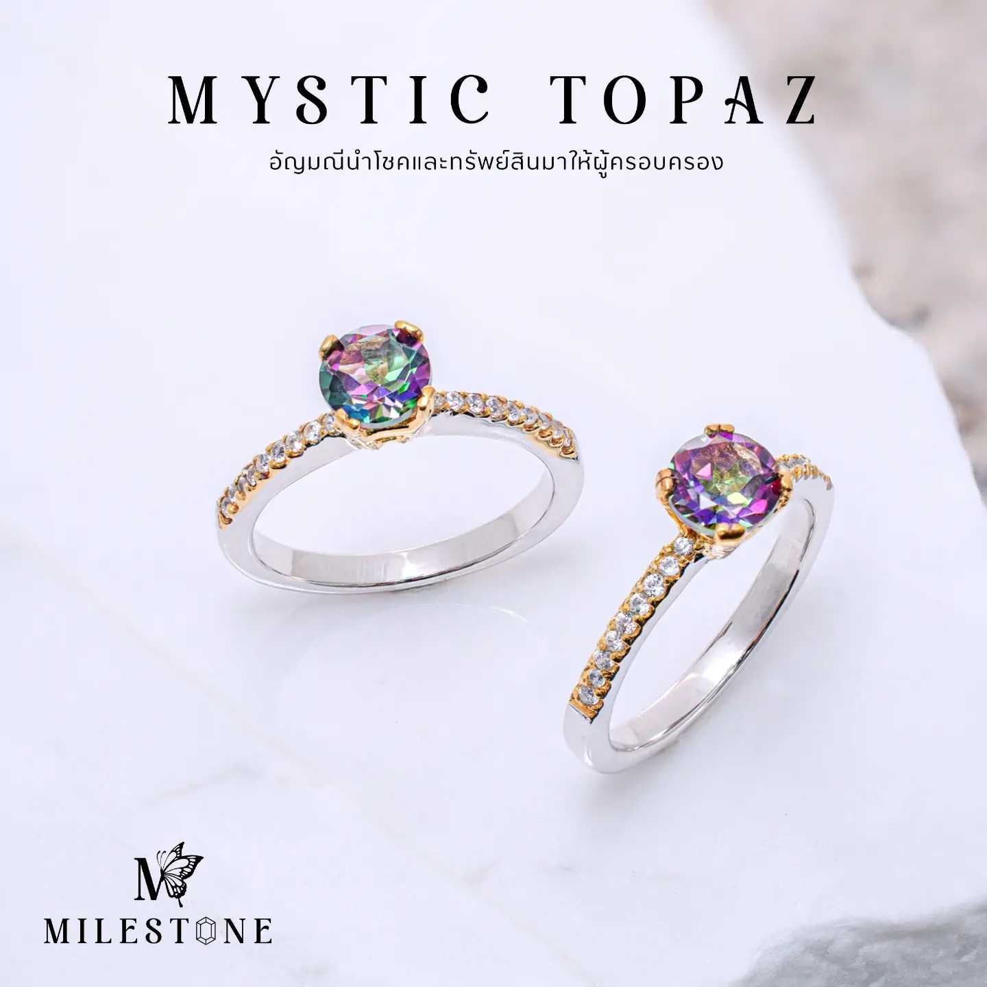 Milestone Princess Collection 