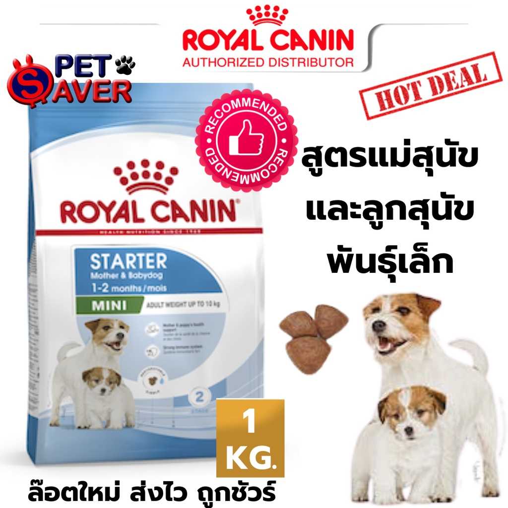 Royal Canin Mini Starter 1kg  อาหารสำหรับ แม่สุนัข ตั้งท้อง และ ลูกสุนัข พันธุ์เล็ก 1 kg