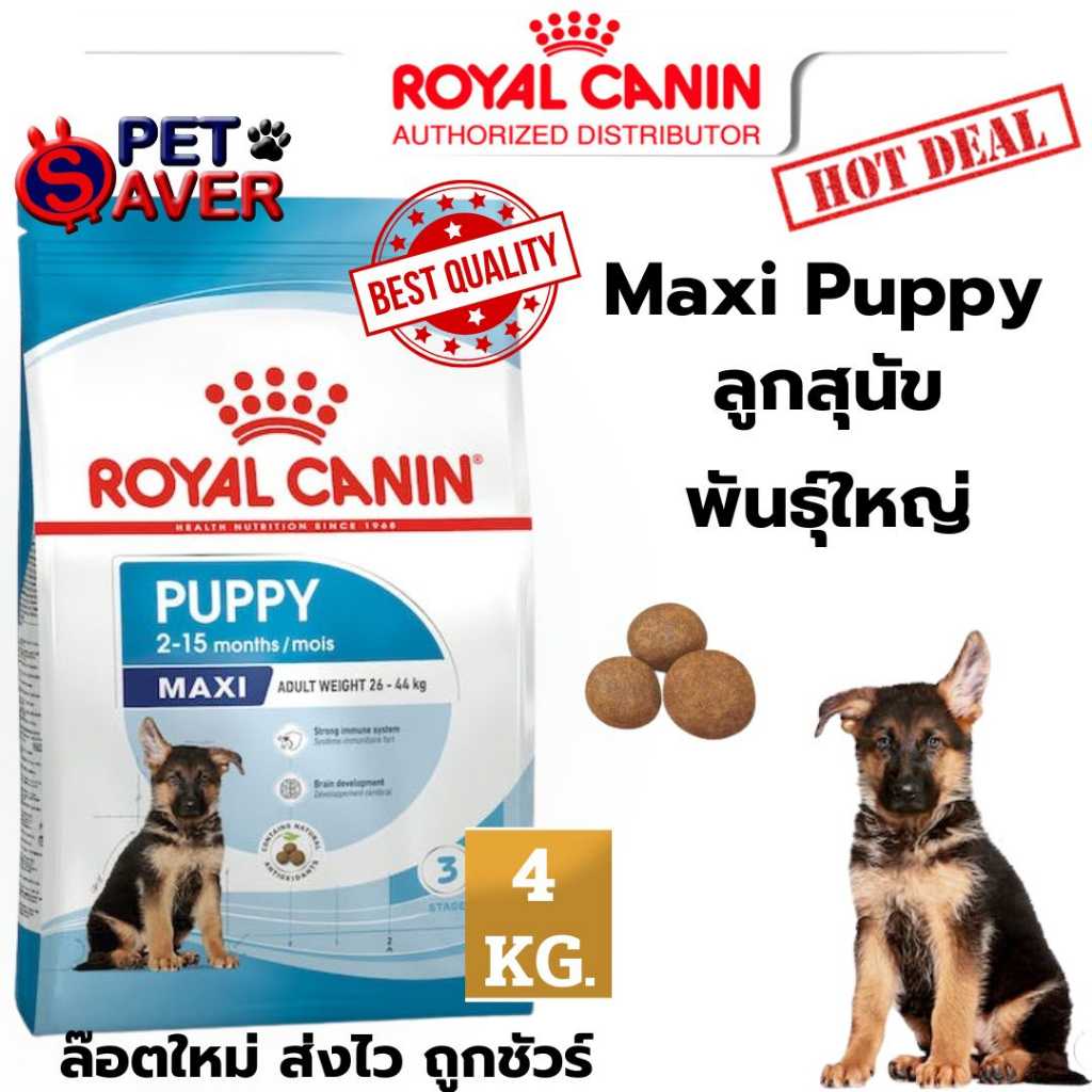 Royal CaninMaxi puppy 4kg