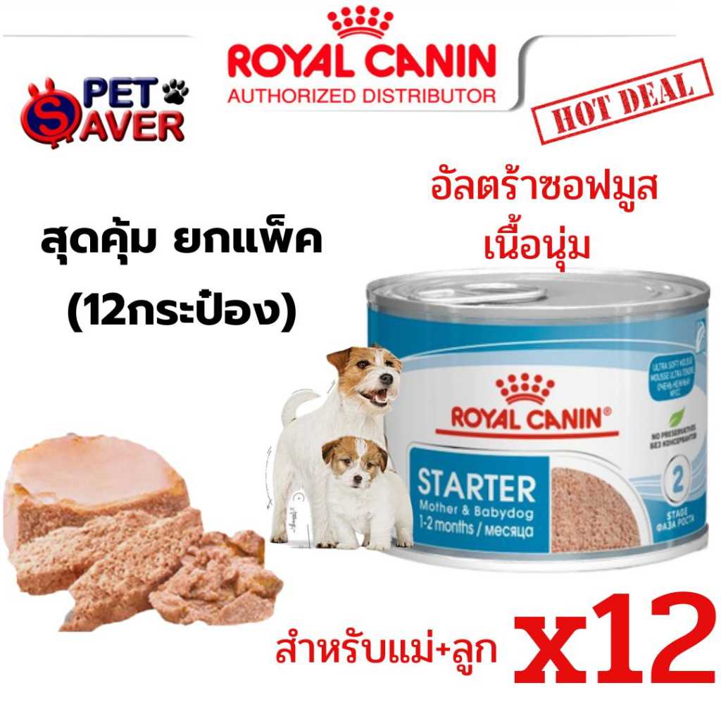 Royal Canin Starter Mousse (ลูกหมา/หมาป่วย/แม่หมา)  สตาร์ทเตอร์มูส 195g 12 กระป๋อง สตาร์ทเตอร์ มูส