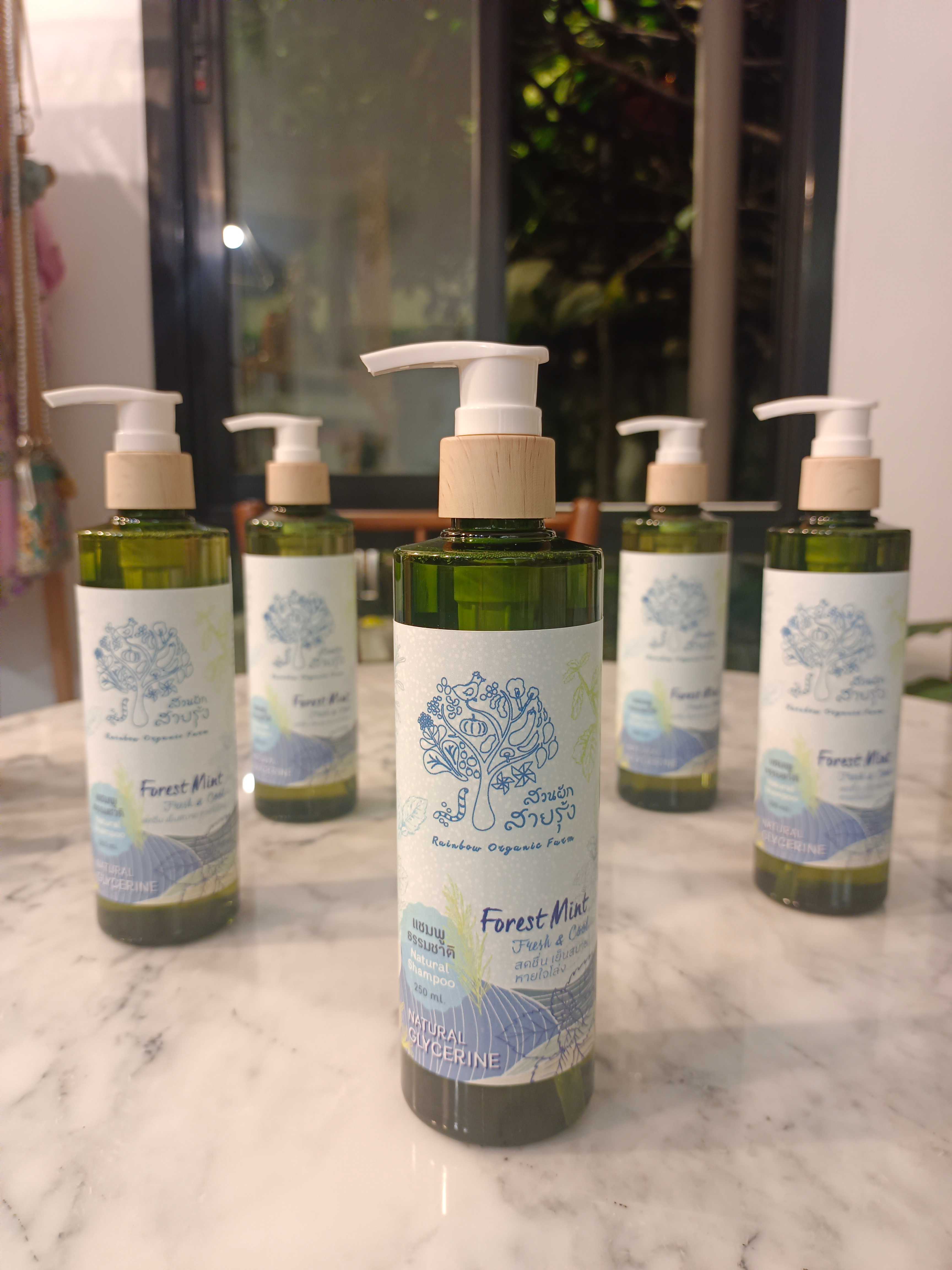 แชมพูธรรมชาติ กลิ่น Forest Mint