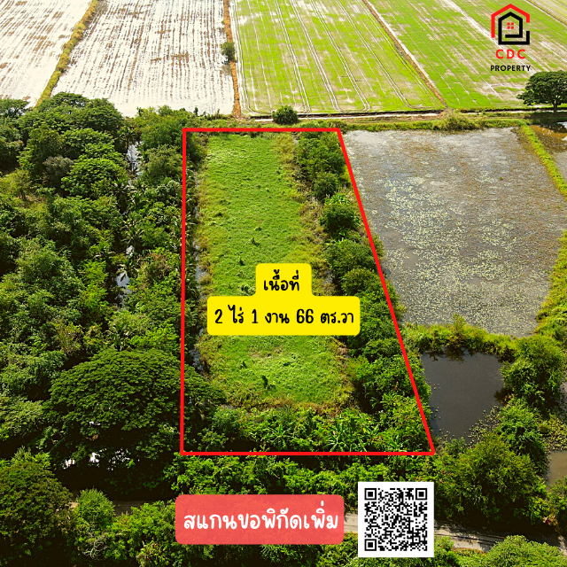 🎯. .ที่ดินเปล่า!! ถมแล้ว ติดถนนลาดยาง เหมาะทำโคกหนองนา และบ้านสวน. .🎯