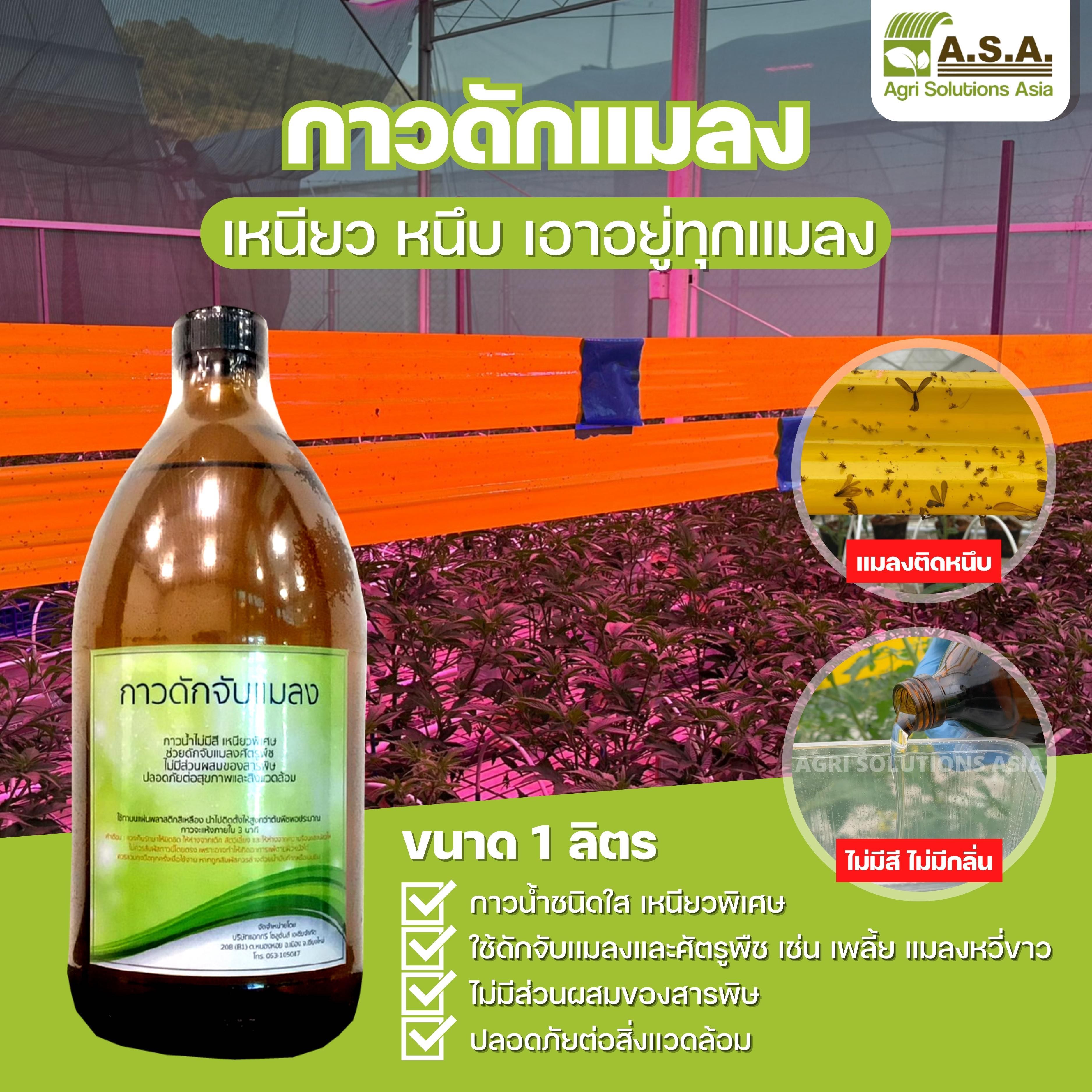 กาวน้ำดักจับแมลง 1 ลิตร(เหนียวพิเศษ) ชนิดใสไม่มีส่วนผสมของสารพิษ ปลออดภัยต่อสิ่งเเวดล้อม