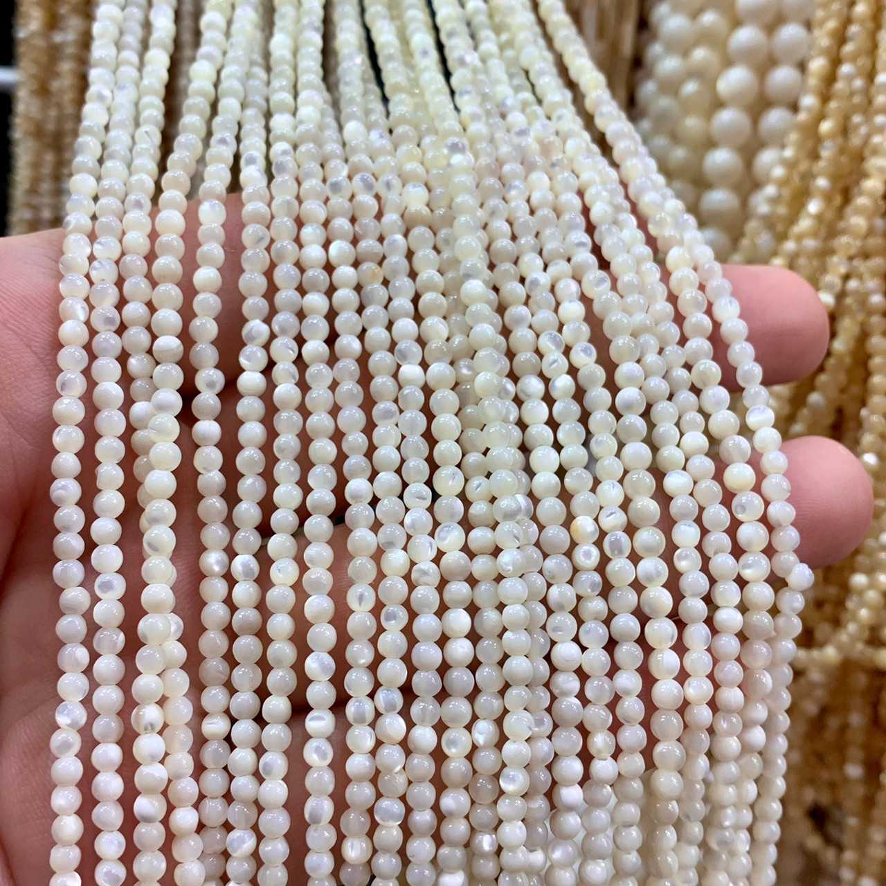 เปลือกหอยทะเลสีขาว (Sea Shell) 3 mm ทรงกลม เส้นยาว