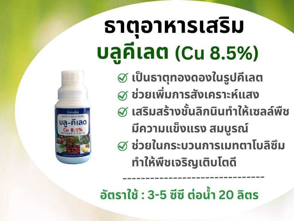 บลู คีเลต Cu 8.5 % ทองแดง ธาตุอาหารพืชในรูปของคีเลต