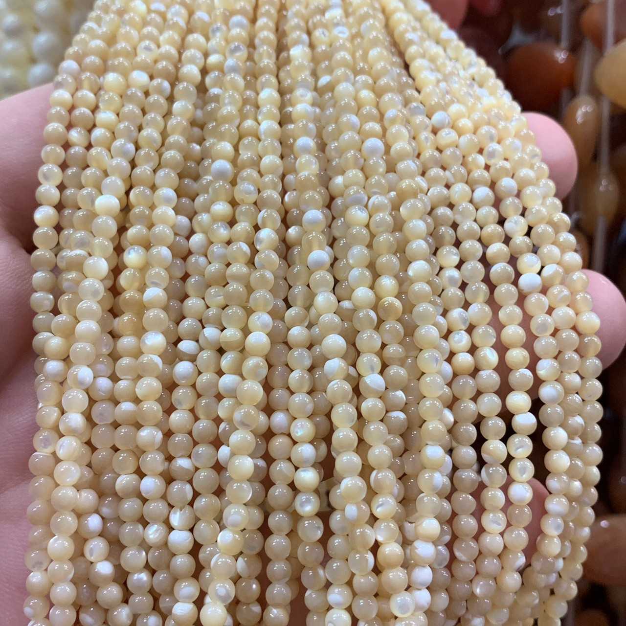 เปลือกหอยทะเล สีครีม (Sea Shell) 3 mm ทรงกลม เส้นยาว