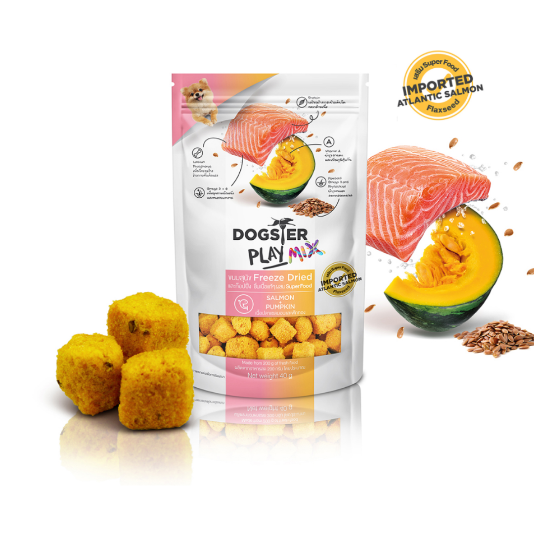 Dogster Play Mix ขนมฟรีซดาย สำหรับสุนัข สูตรเนื้อปลาแซลมอน & ฝักทอง 40 g.